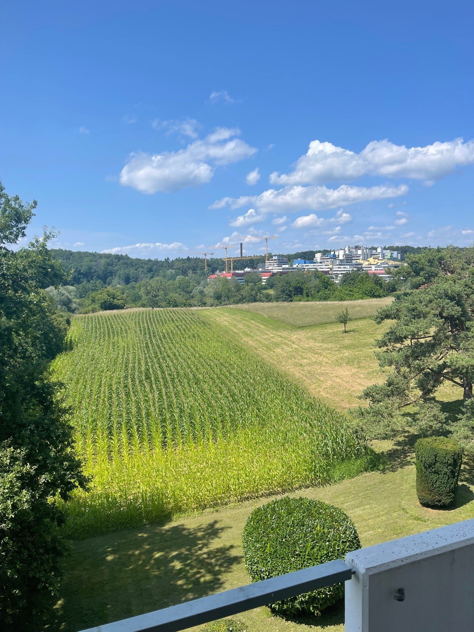 Blick vom Balkon in Richtung Universität